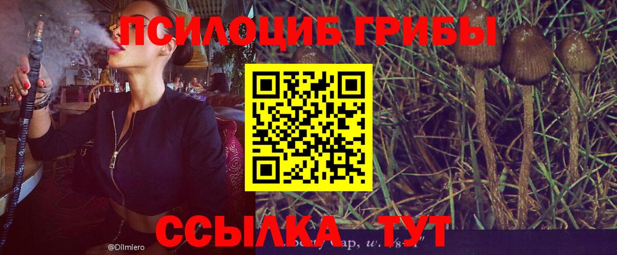 Галлюциногенные грибы мицелий  Псилоцибиновые грибы ЛСД  Трёхгорный  как найти   Вход с VPN 