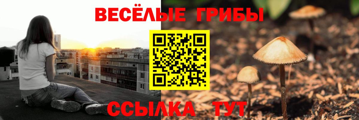 Галлюциногенные грибы MAGIC MUSHROOMS Трёхгорный