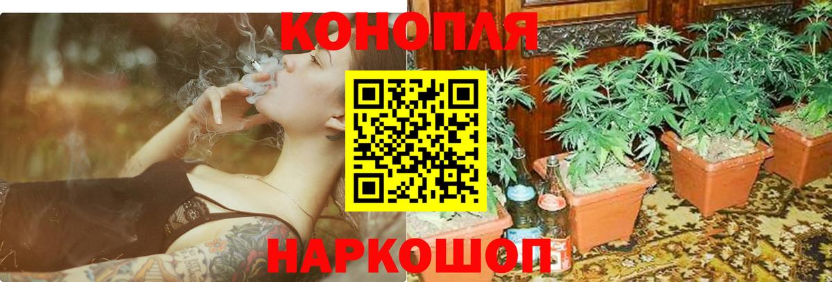 Конопля AK-47  Вход с VPN  Трёхгорный  Канабис индика  МАРИХУАНА индика 